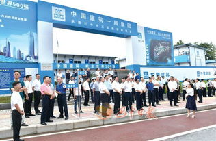 一較高下！巴中各區縣“六大突破”評分揭曉，誰執牛耳？